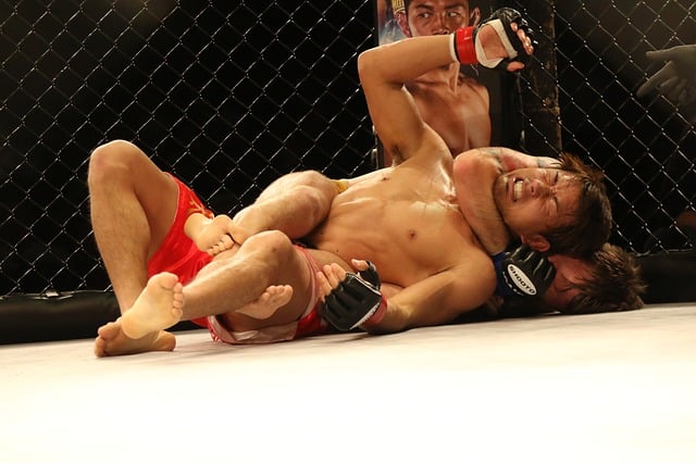Le Jiu Jitsu Brésilien est-il toujours efficace en MMA ?