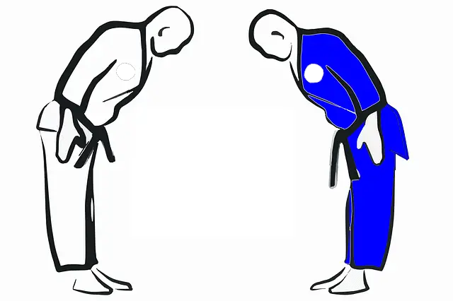 JJJ contre Judo |  Le BJJ est-il meilleur que le judo ?