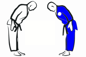 Le BJJ est-il meilleur que le judo ?  BJJ contre judo
